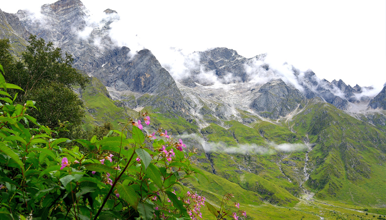 NATIONAL HIMALAYAN VALLEY OF FLOWER TREKKING CUM TRANING EXPEDITION: 2024