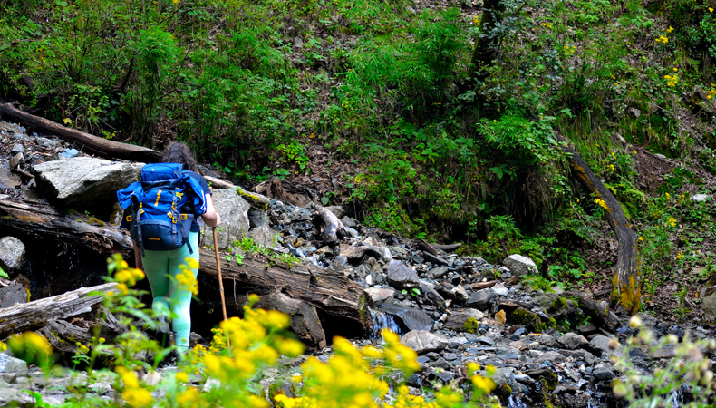 National Himalayan Dodital-Darwa Pass Trekking cum Training Expedition (Uttarakhand) 2024 (By Delhi State Branch)