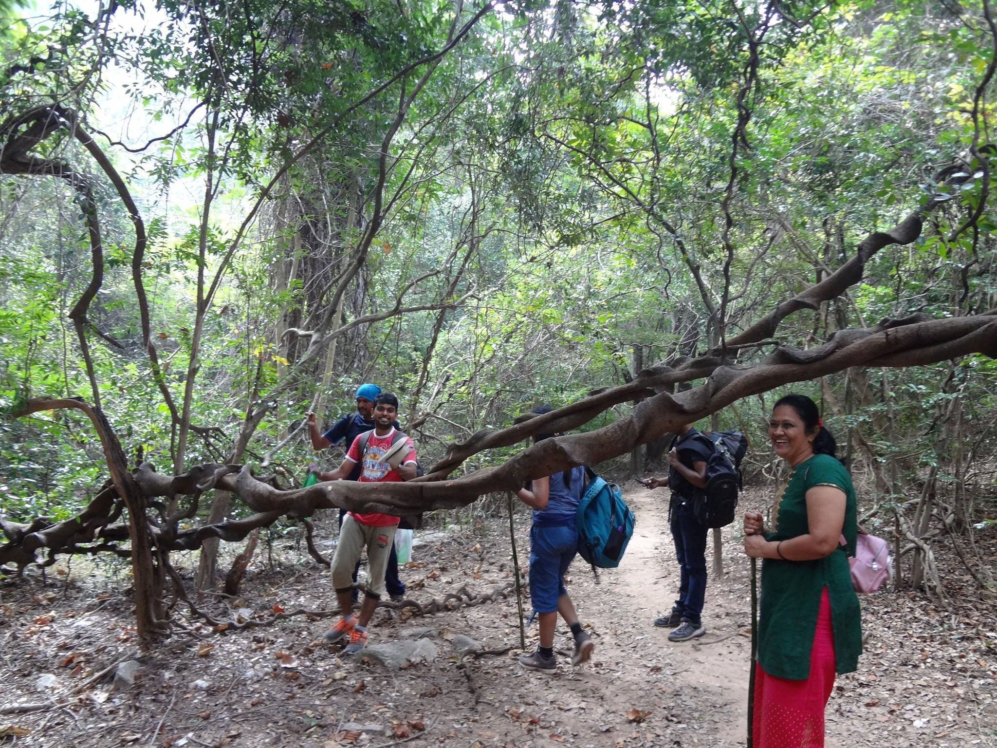 Seshachalam_Thumburu_Trekking_and_Training_Expedition-2025_(By_Andhra_Pradesh_State)