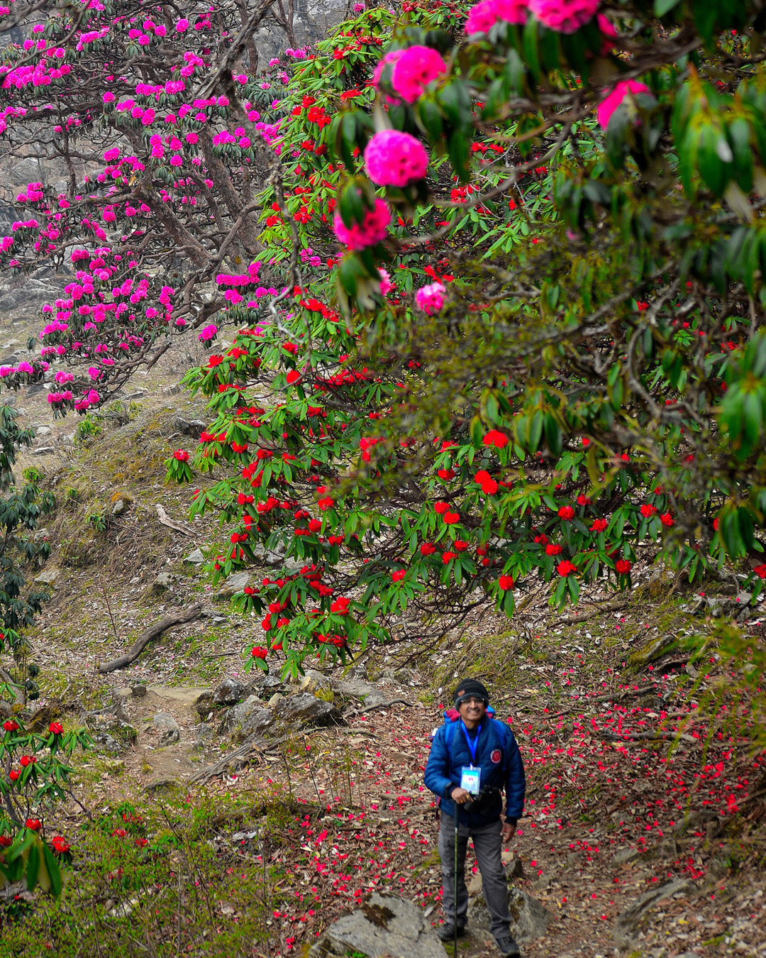 National_Munsiyari_Khaliya_Top_Trekking_Cum_Training_Expedition(Uttarakhand)2025_by_(_By_Delhi_State_Branch)