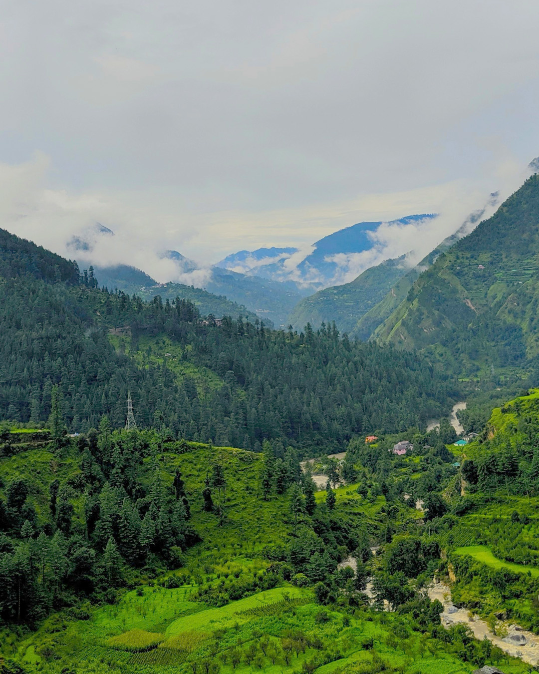 National_Himalayan_Nature_Study_Cum_Trekking_Cum_Training_Expedition_15_Miles_2024