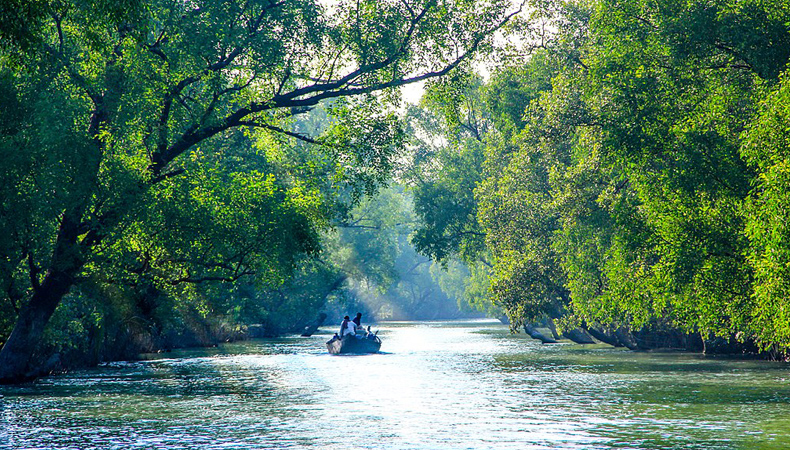 UNESCO World Heritage Sundarban Adventure cum Training Camp 2024 (By West Bengal State)