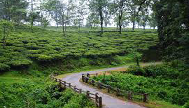 DOOARS (NORTH BENGAL) JUNGLE TRAINING CUM CAMP’25 (BY WEST BENGAL STATE)