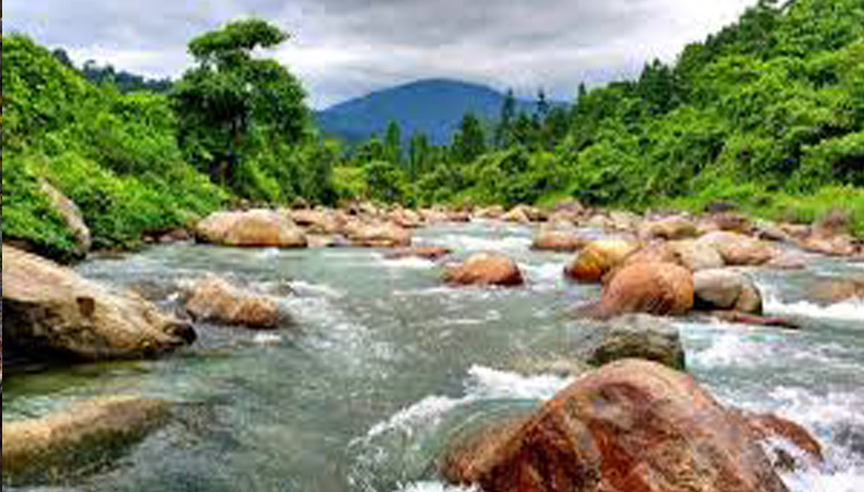 DOOARS (NORTH BENGAL) JUNGLE TRAINING CUM CAMP’25 (BY WEST BENGAL STATE)