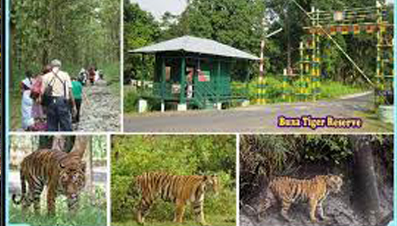 DOOARS (NORTH BENGAL) JUNGLE TRAINING CUM CAMP’25 (BY WEST BENGAL STATE)