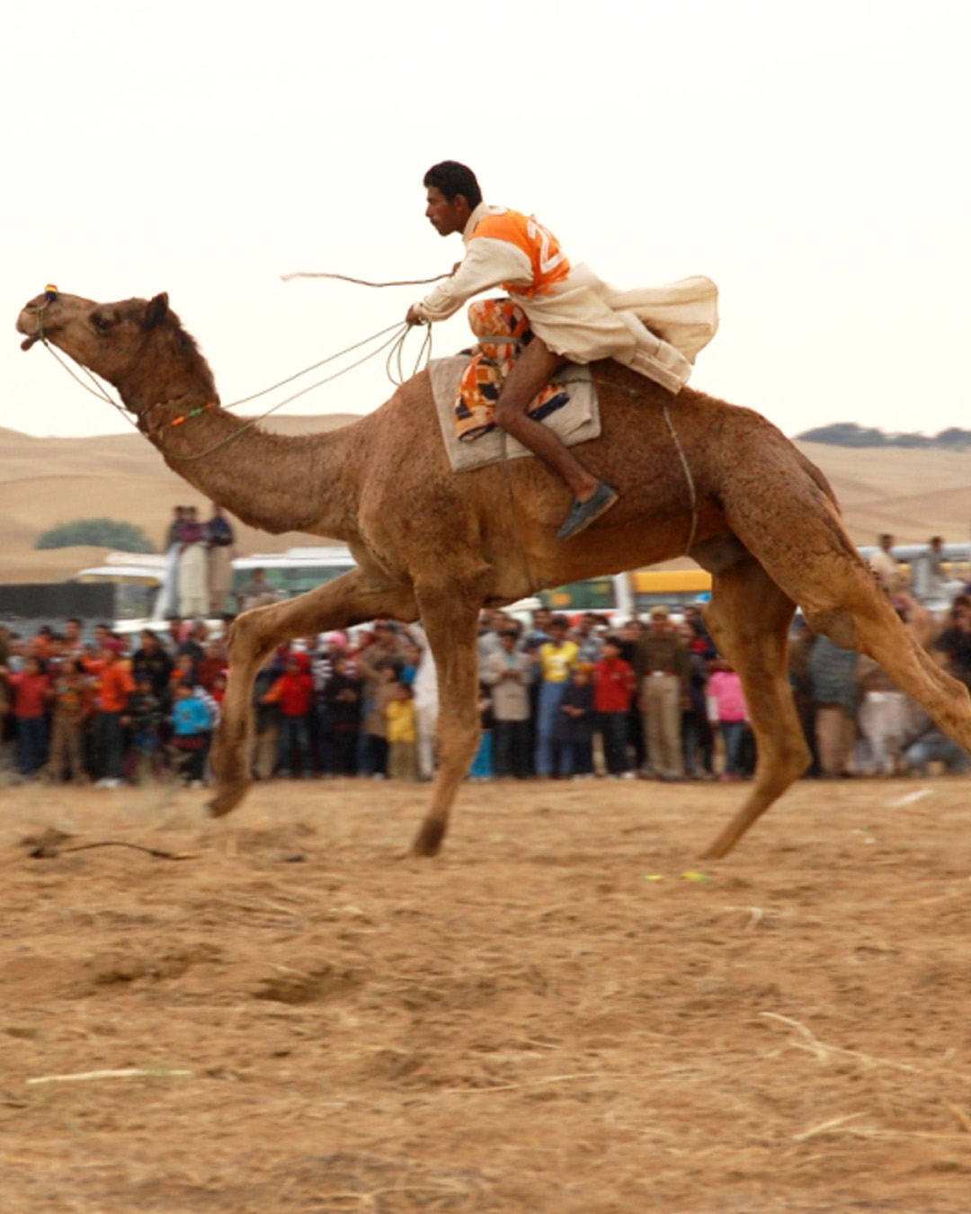 NATIONAL DESERT FESTIVAL & DESERT TREKKING CUM TRAINING EXP. 2025 (By Rajasthan State)