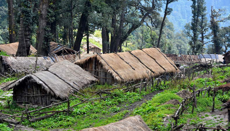 Dodital-Darwa Pass Trekking cum Training Expedition (Uttarakhand) 2025