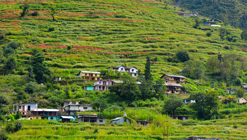 Dodital-Darwa Pass Trekking cum Training Expedition (Uttarakhand) 2025