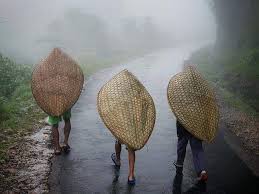 Meghalaya Monsoon Trek 2025 by YHAI East Khasi Hills District Unit Meghalaya State Branch 