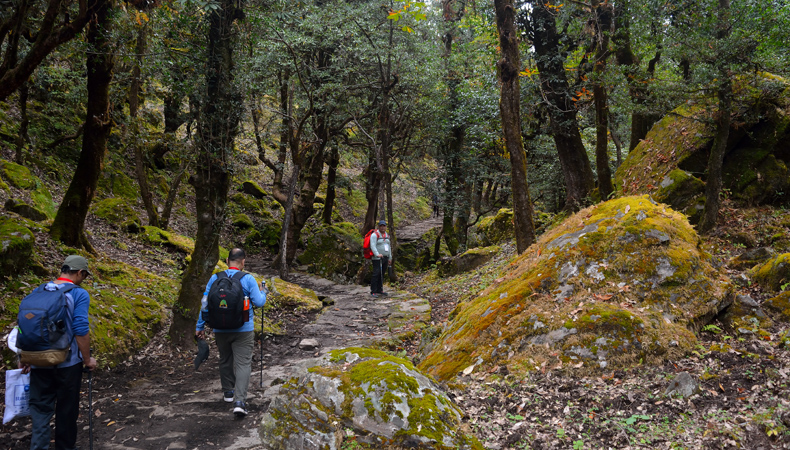 Dayara Bugyal Trekking cum Training Expedition (Uttarakhand) 2023