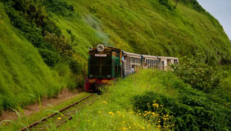 MATHERAN MONSOON MASTI 2023